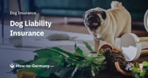 Quanto Costa Assicurare Un Cane Guida Prezzi e Coperture Essenziali 15 cane guida con assicuratore e contratto chiaro