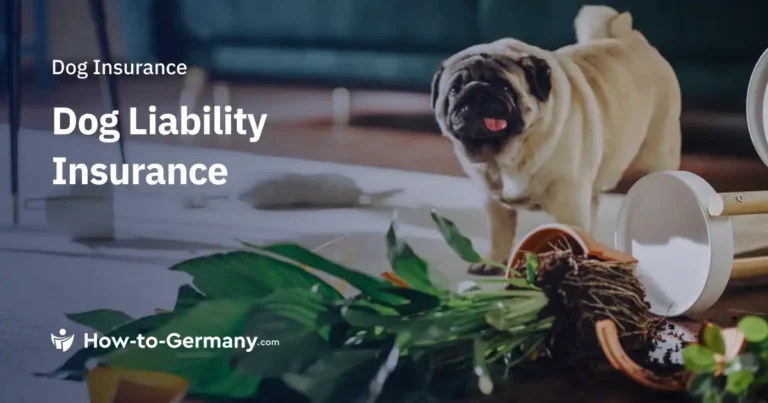 cane guida con assicuratore e contratto chiaro