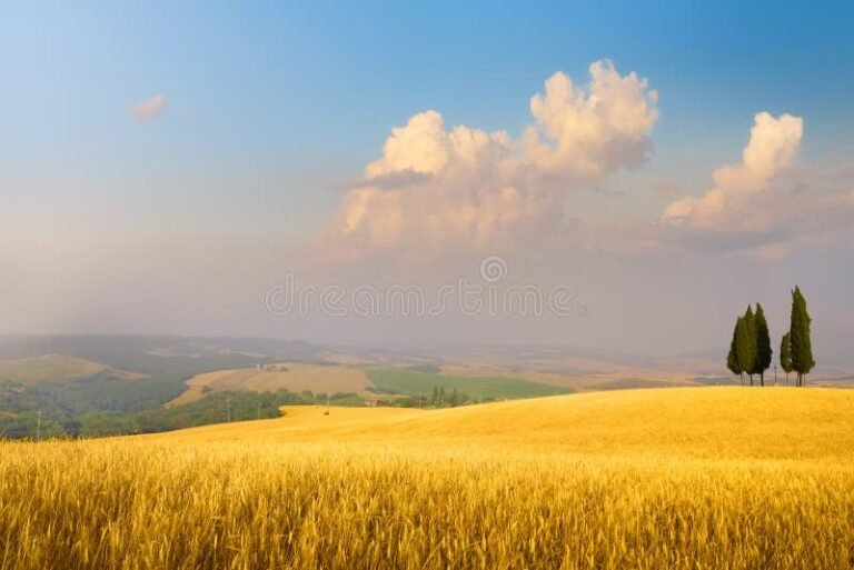 Qual è il Meteo Attuale e le Previsioni per San Polo di Piave