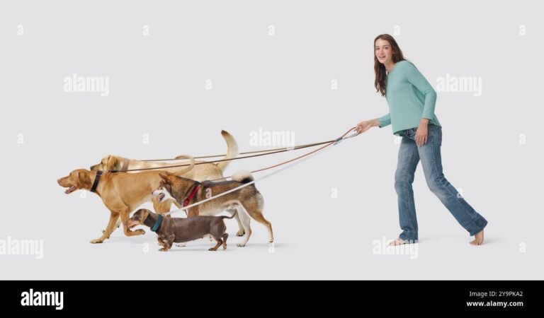 dog sitter che passeggia con cane felice