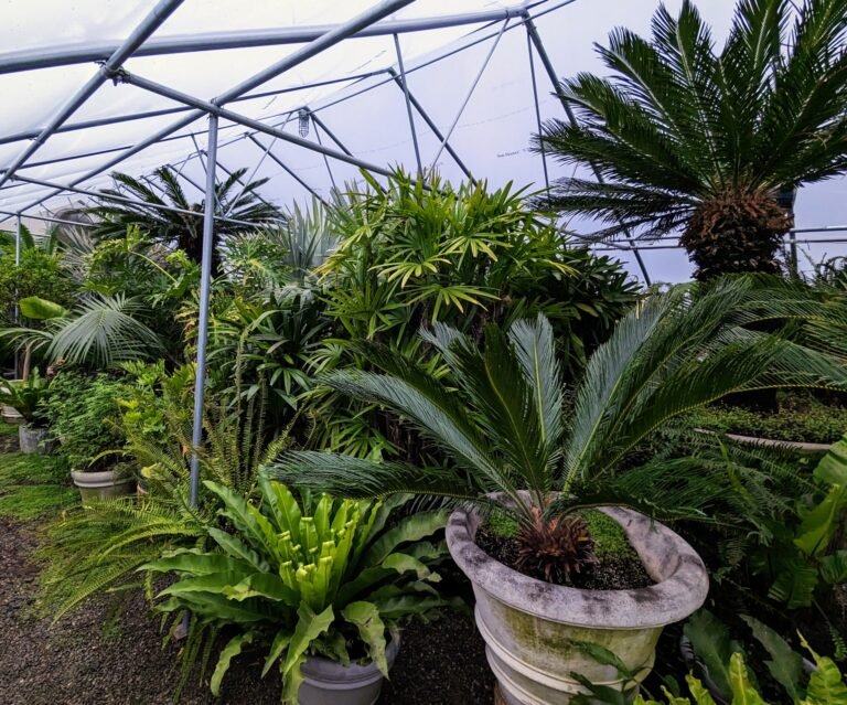 evento verde in serra con piante rigogliose