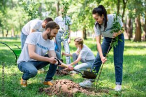 giovani che piantano alberi in un parco