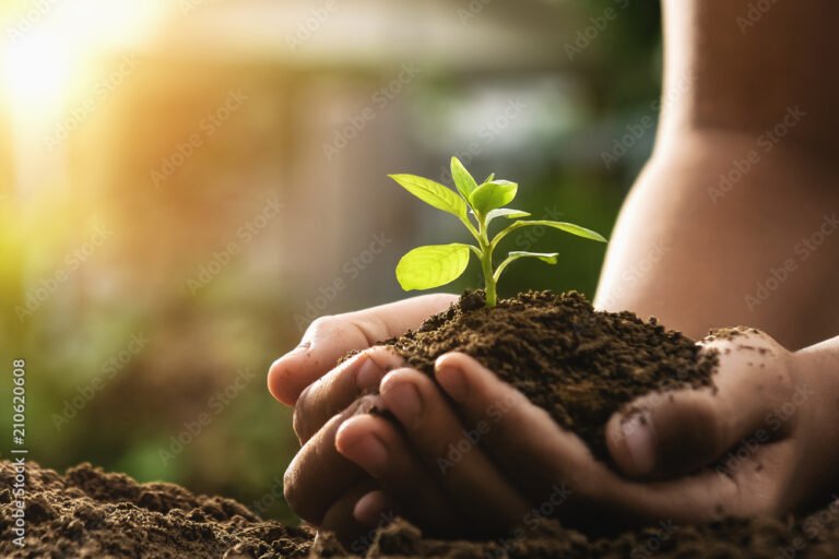 Polizze Vita Convengono Come Investimento Guida Completa ai Vantaggi