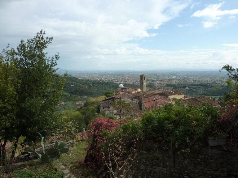 panorama di massa e cozzile con case tradizionali