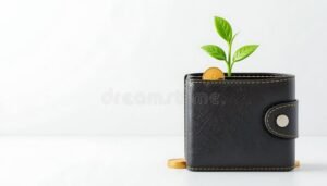 Come Posso Risparmiare Soldi Se Non Riesco a Mettere Da Parte 16 portafoglio con monete e pianta che cresce