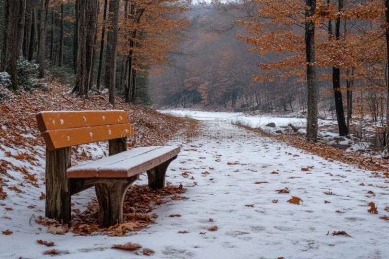 sentiero boschivo tranquillo con panchina solitaria
