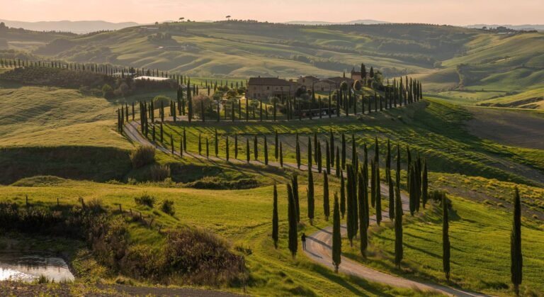 Come Raggiungere Napoli da Vallo Della Lucania in Auto o Treno
