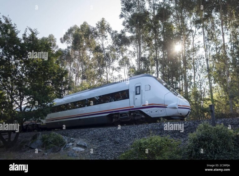 Quali Sono gli Orari dei Treni da Orte a Roma Termini