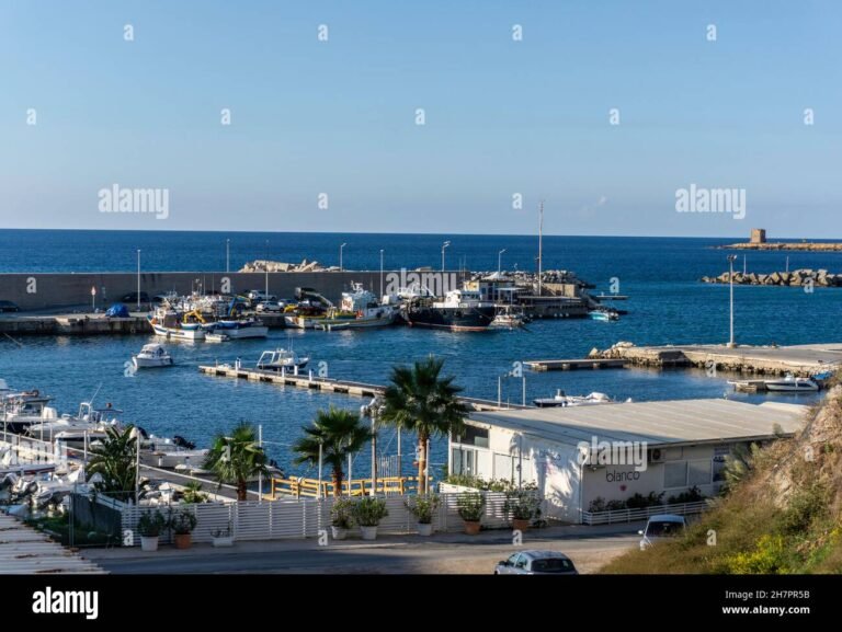 Qual è il numero di telefono per informazioni sulla città del mare Terrasini 2 vista panoramica del porto di terrasini